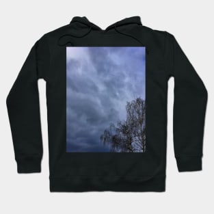 Tree and a Stormy, Cloudy Sky Hoodie